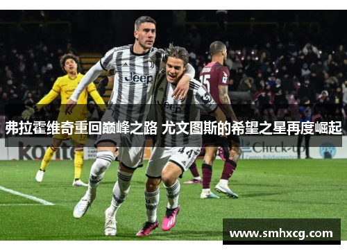 弗拉霍维奇重回巅峰之路 尤文图斯的希望之星再度崛起