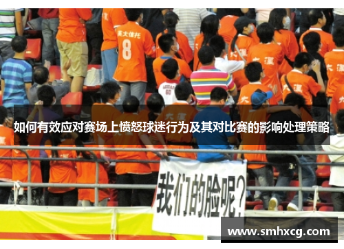 如何有效应对赛场上愤怒球迷行为及其对比赛的影响处理策略